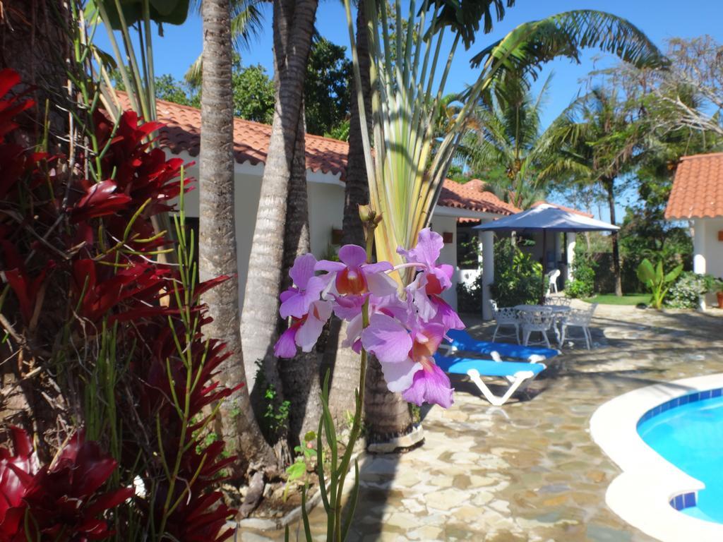 Garden By The Sea Sosúa Exterior foto